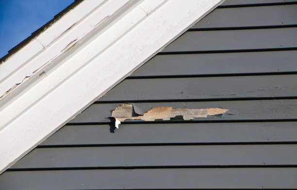 Best Siding Removal and Disposal  in Appalachia, VA